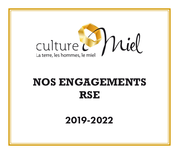 BROCHURE RSE